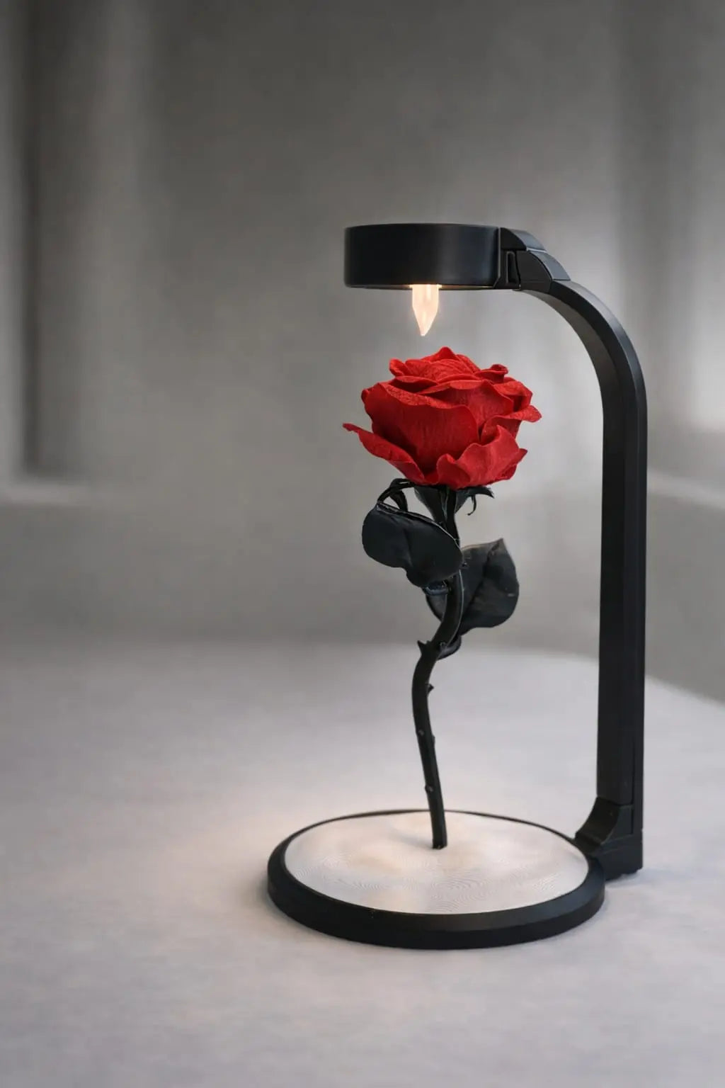 Lixory Solmayan Gül Led Işıklı