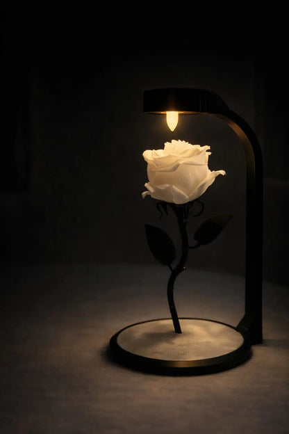 Lixory Solmayan Gül Led Işıklı